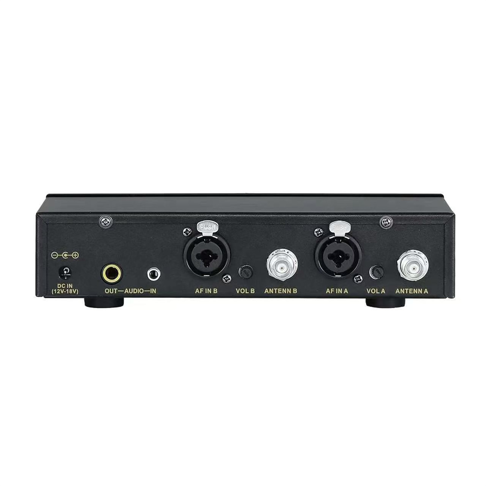 SKARIDIS Professioneel Draadlo - In Ear Monitors For Singers recensie en prijs